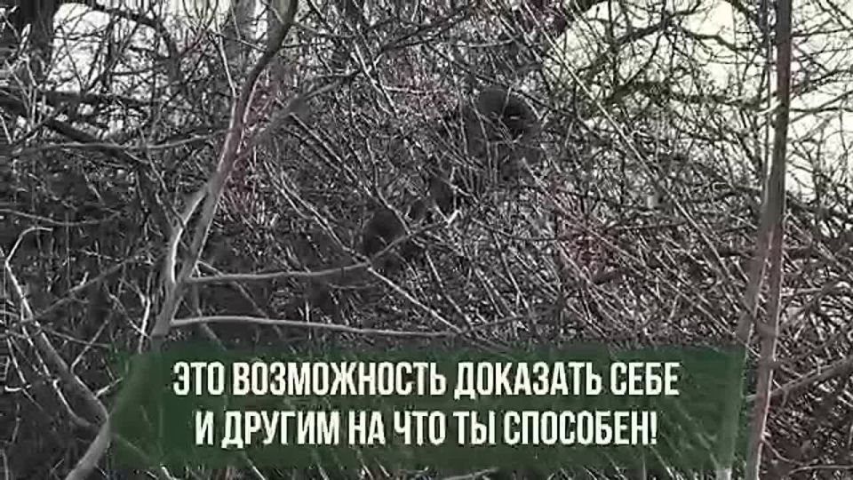 �������� ����� ������ - ��� ������, ��� ������ ������!