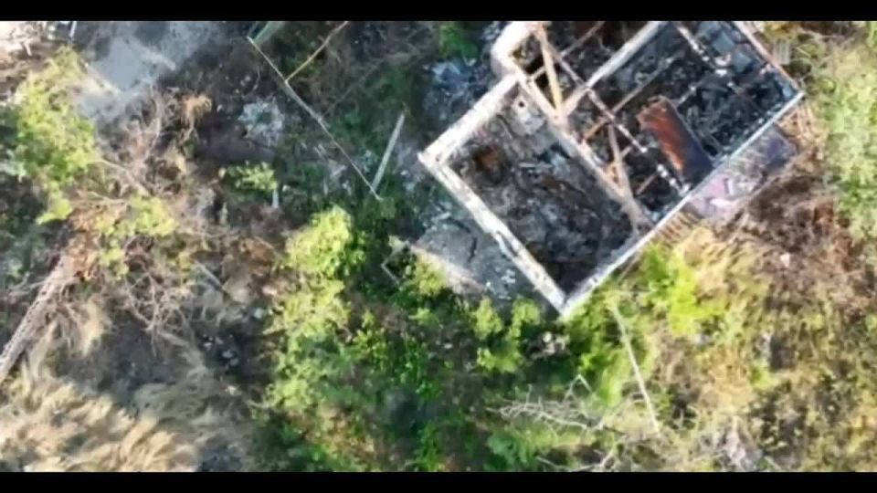 ���� �� �������: ���-�� �� ��������� ����������� ������� ������ ��� ������� �����