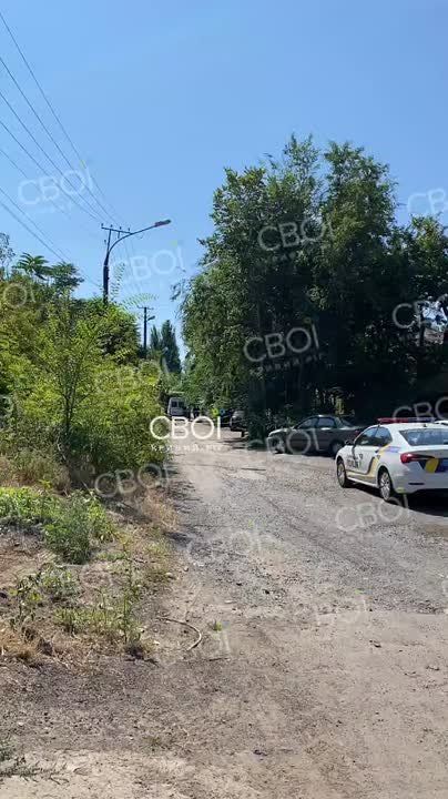 Енот из Херсона: В Кривом Роге мужчину тяжело ранил сотрудник ТЦК при попытке побега из буса