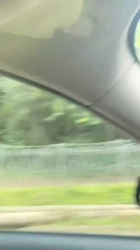 ������� ��������� � ������: �������� �������, ��� �������� �������� �������