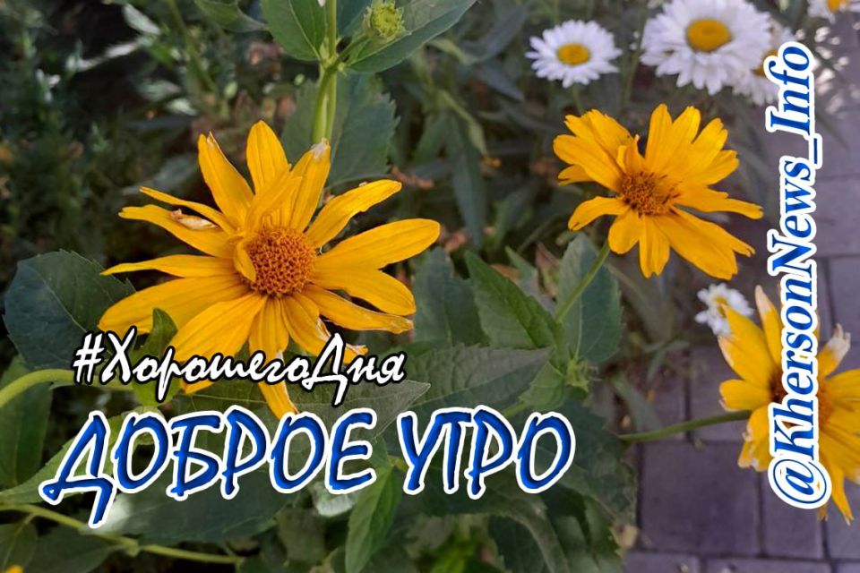 ������ ����, ������!. ���� �������� ��� � ������������ ������� ������ �� ����� ������� � ��� �������