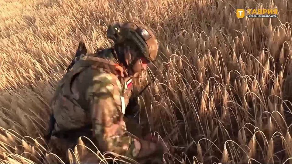 ������ ���� "Supercam S350" �������������� ����������� ������ ���������� ���� ��� �� ������ ������ ������