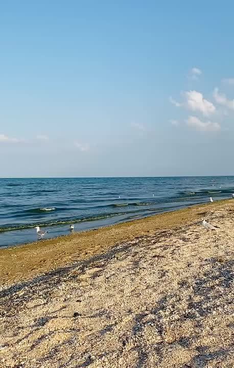 ������ ���� ����!. ���� ������ ������������, ������������� ������! �����������- �������� ������! ���������� ���� ����������! sd_kakhovka@khogov.ru