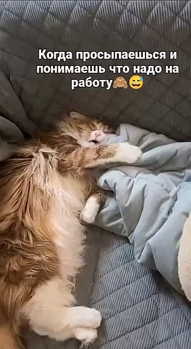 ������� �������: ������ ���� ������. ���� ��������� ������������