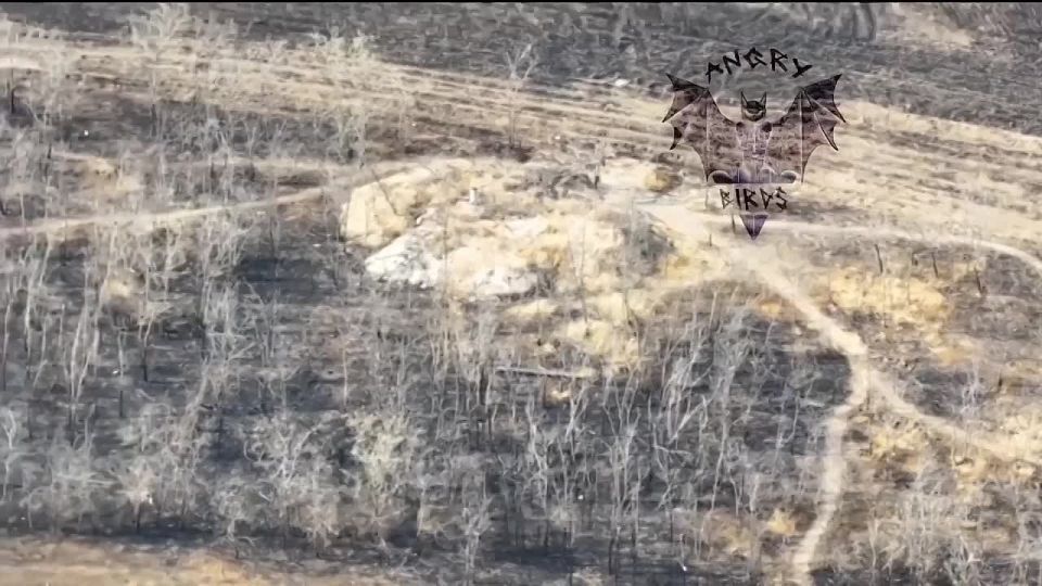 ���������� �����. ������ ������� ������� ��������� �� ����� ���������� ���� "������"