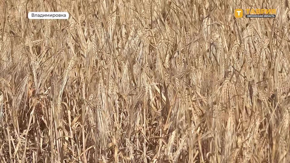 ������� ���������� ������� ������� 44% ������ �������� � ������������ �������