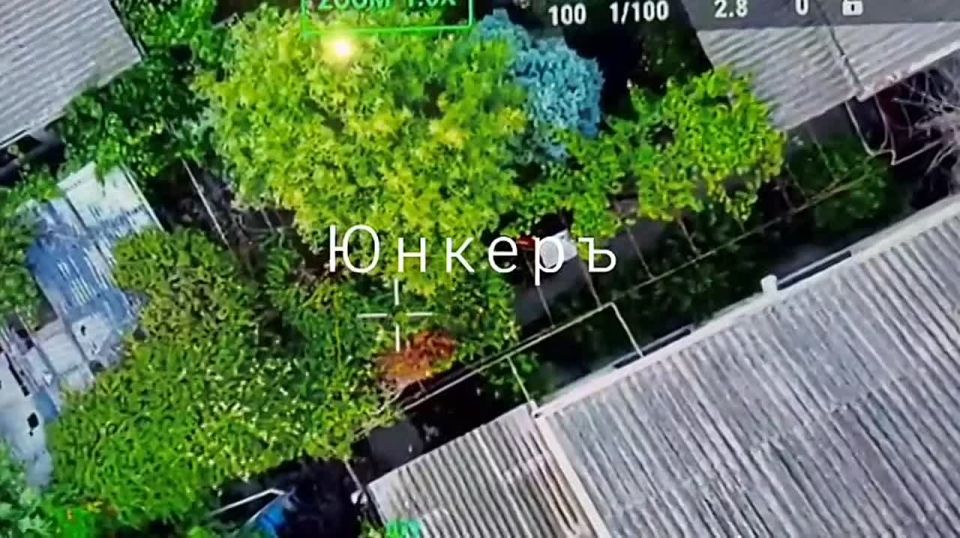 ����� � ������. ���������� �����������, �������� ������ � �������� ���������� � ������ ��������� ���������