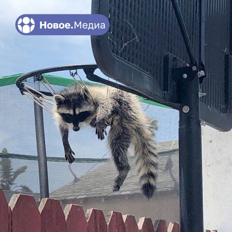 ���� �� �������: ��� ��������� �� ���������� ���� ���� �����?