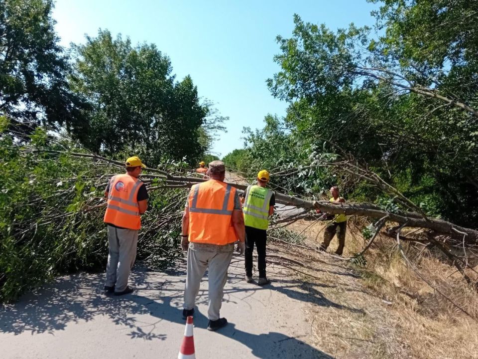 � �� ����������� ��������� ������� ���� �� ������