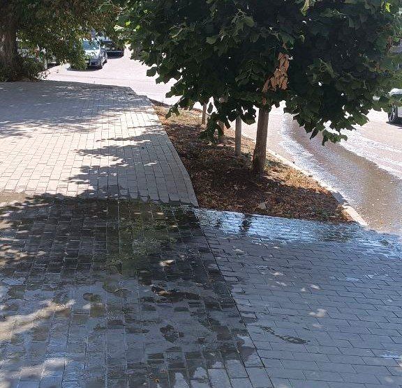 � ��������� ��������� ����� ����������� �� ����� �����������