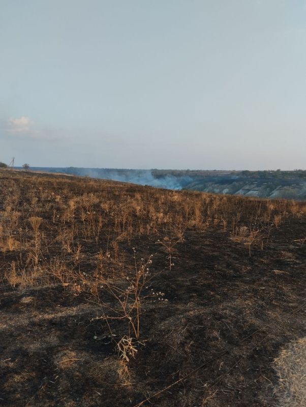 ��������� ����� ��������� � ���� ��������� ��������������� ������