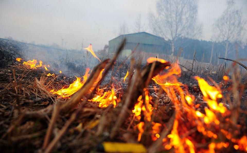 � ���������� ������� ��������� ������������ ���������������