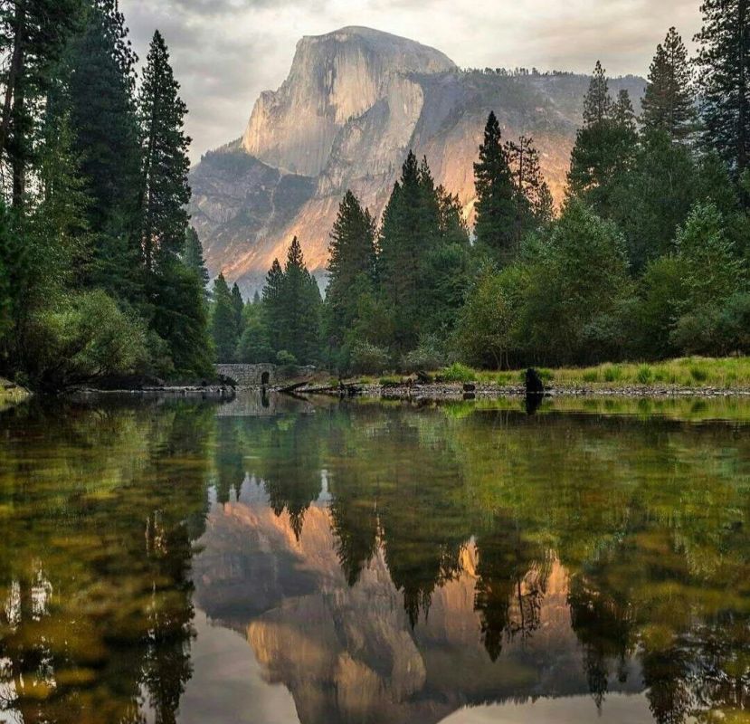 . ������� ���