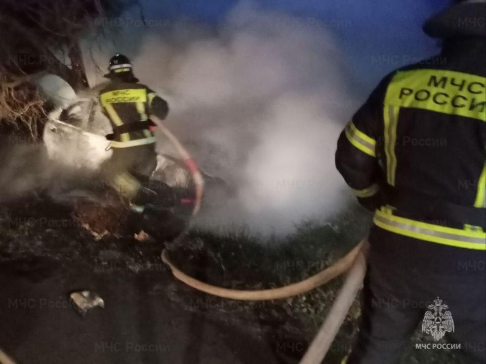 �� �������� ����� ������������ 1 ����������� �����: