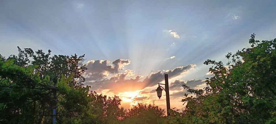 ������� ���� ����, ������, �������� ���!