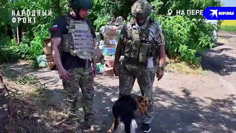 ���� � ����� �������������: ��������� � ������� ������ ����� ������ ����-����������