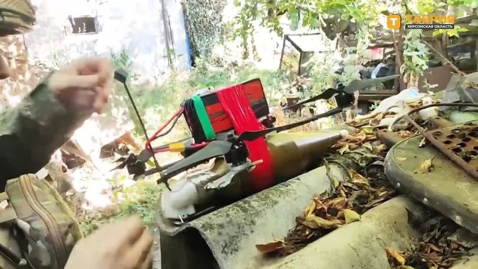 ��������� FPV-������ ����������� ����� "�����" ���������� ������� ��� � ���� ������������