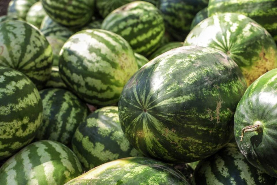 ���������� ������� ��������� � ������: ��������� ����� 10 ����� ���� �������