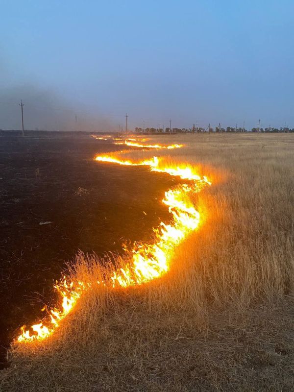 ������� ����� ������� ������ ������� ��������� �������� ��������� �����