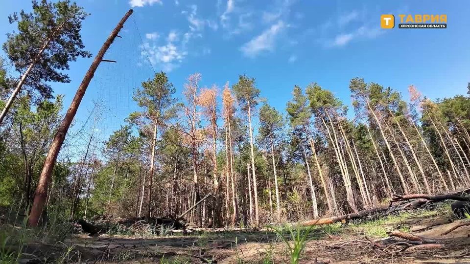 ���������� �������������� ���������� ����� ���������� ���� ��� �� ������ ������ ������