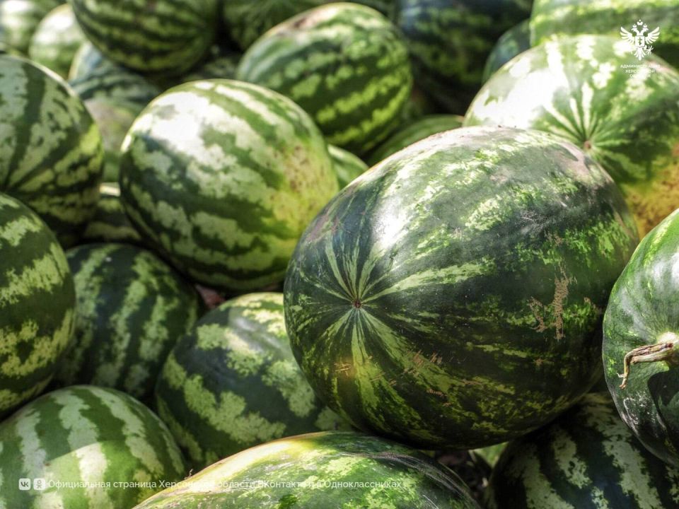 ���������� ������� ��������� � ������: ��������� ����� 10 ����� ���� �������