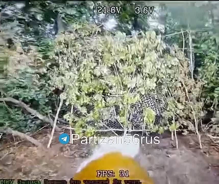 ���� �� �������: ����� ����������� ���������� � ���������� ����������