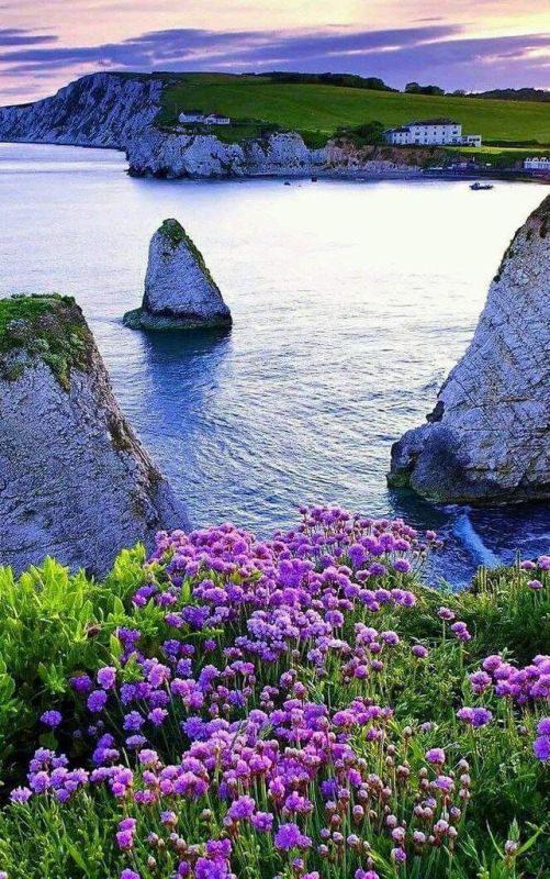 . �� ������ ����� � ������� , � ������ ����