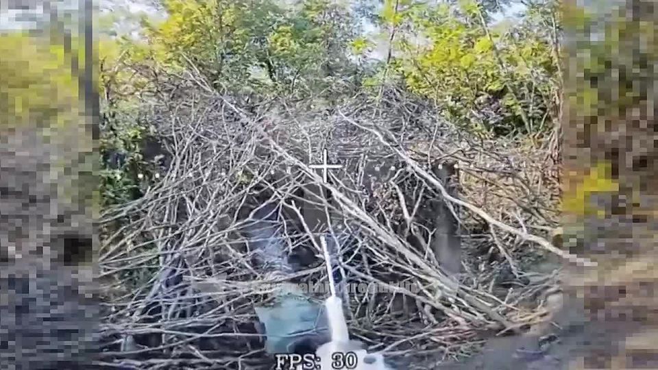 Операторы расчета FPV батальона им. Максима Кривоноса продолжают уничтожать технику националистов на Красноармейском направлении совместно с ВС РФ