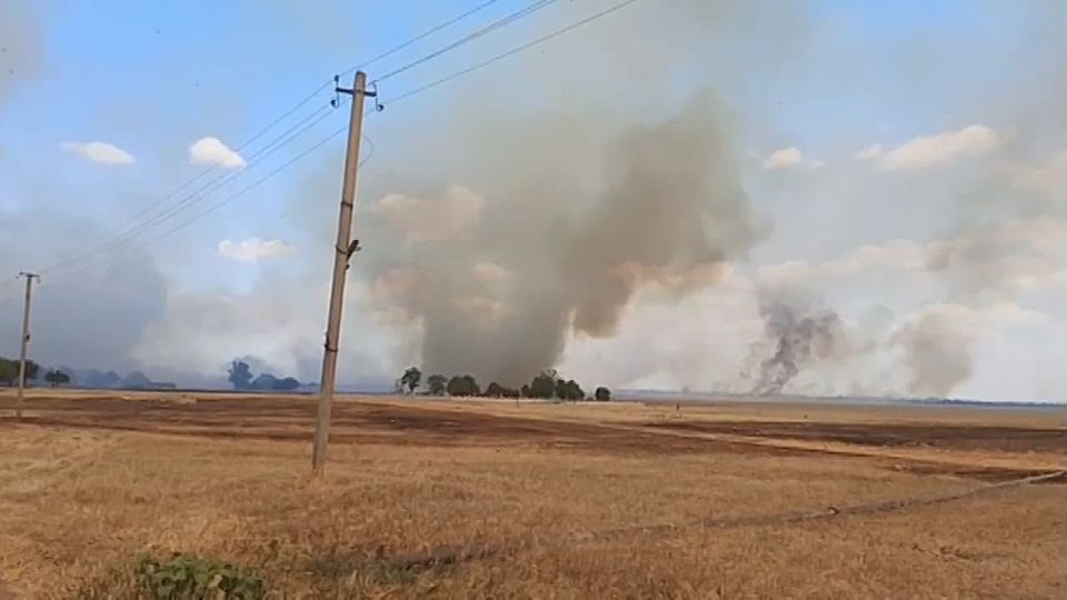 � ���� ��������� ������� ������ ������������� �����