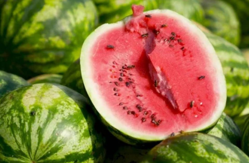 ����������� �������� ����������� � ������ � �����-����������