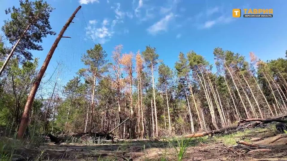 ������� ������ "����-�" ���������� ����� ���������� ���� �� ������ ������ ������