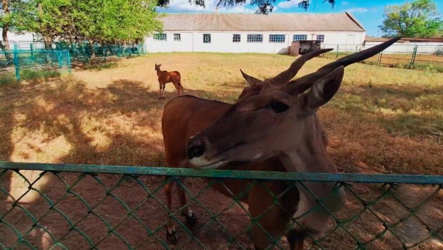 ��������� ������� ����������� � ����������� ��������-���� � 2023 ����