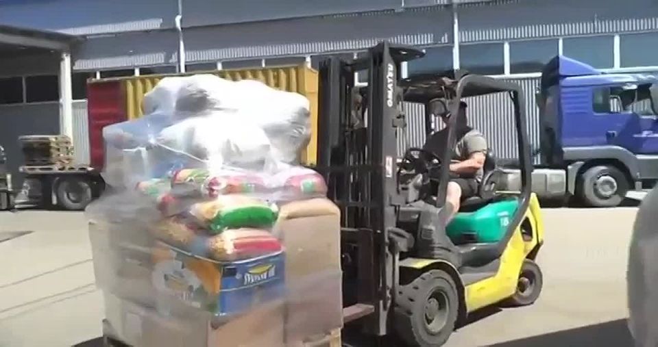 10 ���� ������������� ����� � �������� �������� ���-������ ������������� ����