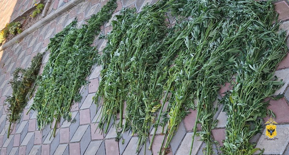 � ���������� ������� ����������� ������ ����� 3 ���������� ������������� ��������� � �������� ������