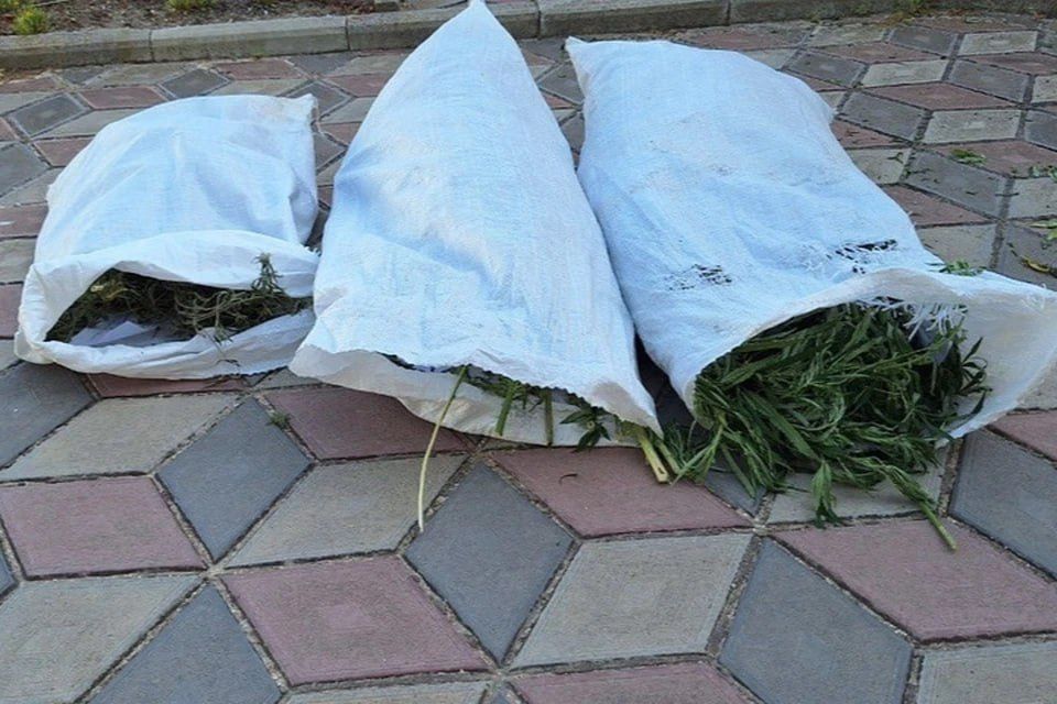 ����� ��� ���������� ������� ������ � ������ ���������� �������