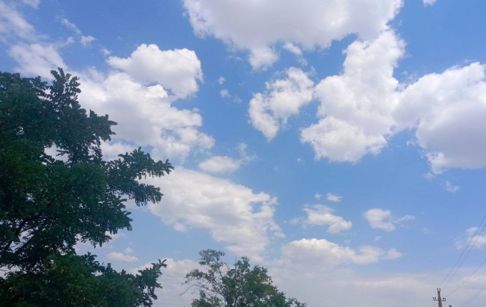 ������� ����, ������! �������� ������� ���!