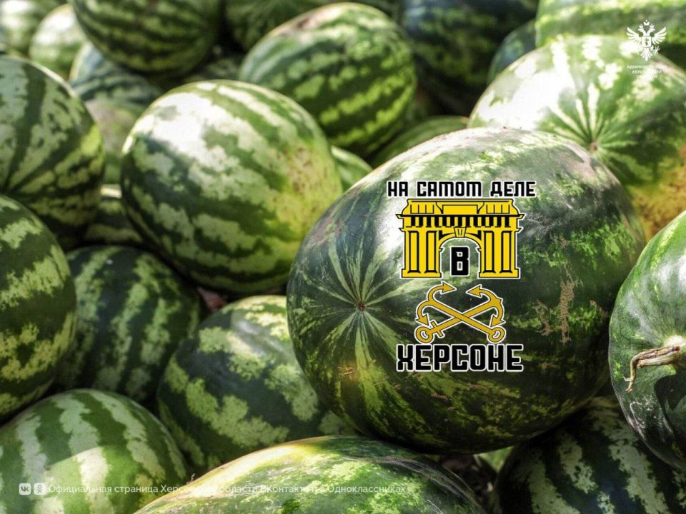 � ���������� ������� ��������� ����� 10 ����� ���� �������!