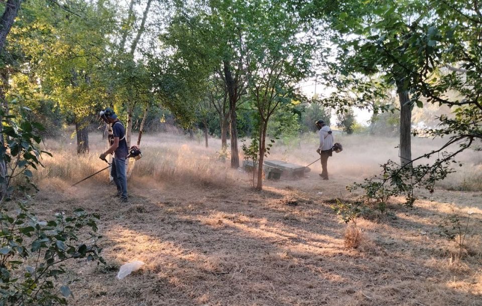 ��������� �����: ���������� ��� ����������� ������� ��������������� �������� ����� � ���������