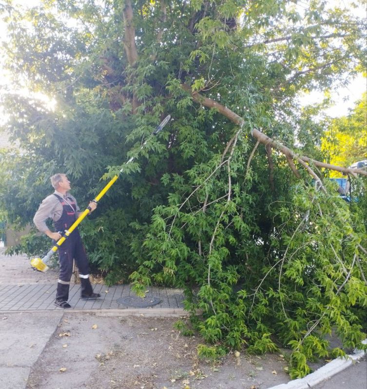 ������������ ������ ������� ���������� ������ ��� �������� ������