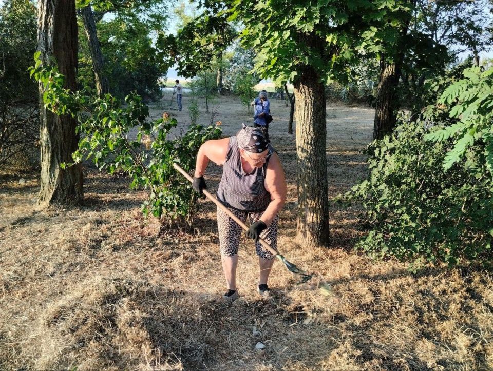 ���������� ��� ����������� ������� ��������������� �������� ����� � ���������