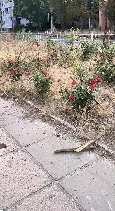 ��� ������. ����� ����� ����� � ������� ���������� ����-������� ����