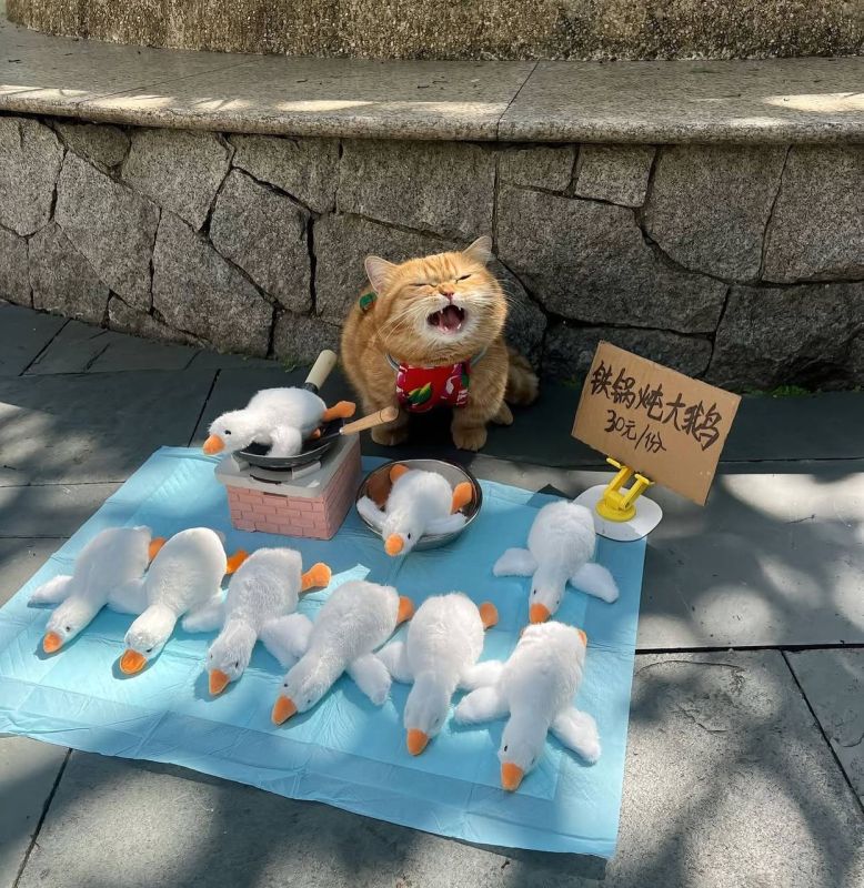 ������ ������ ����� ��������, ���������� �����