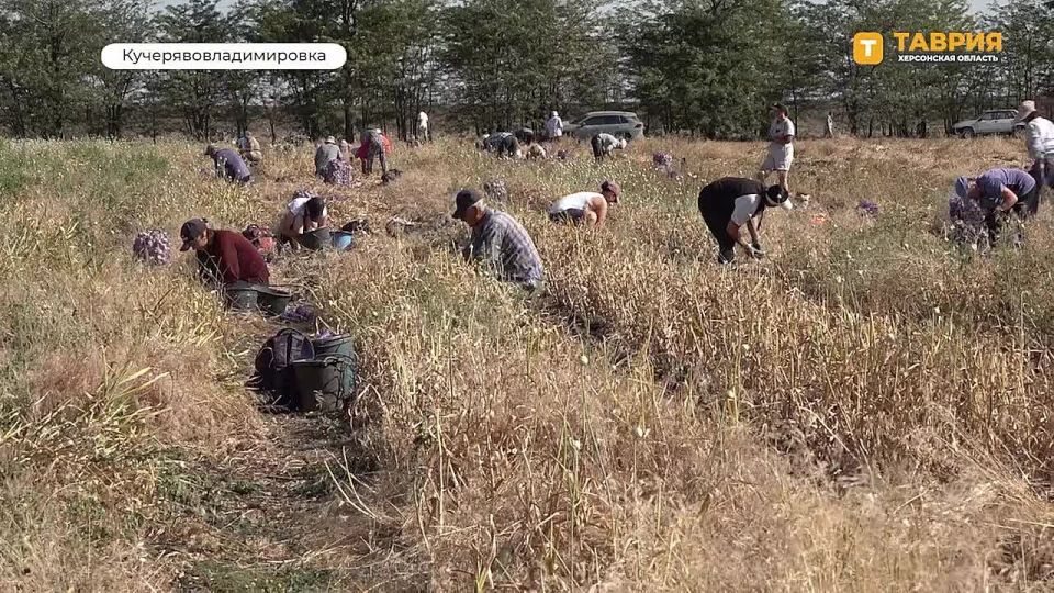 ����� ����� ������� ��������� � ���������� �������