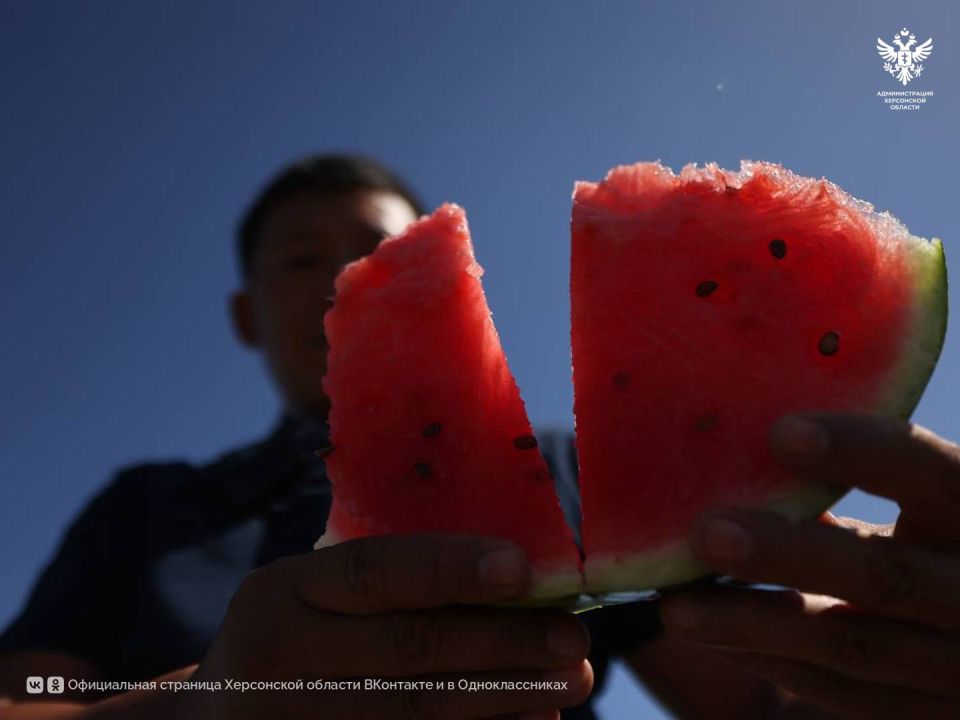 � ���������� ������� � 2025 ���� ������� ���� �������� ������� ��������� ����� 600 ��