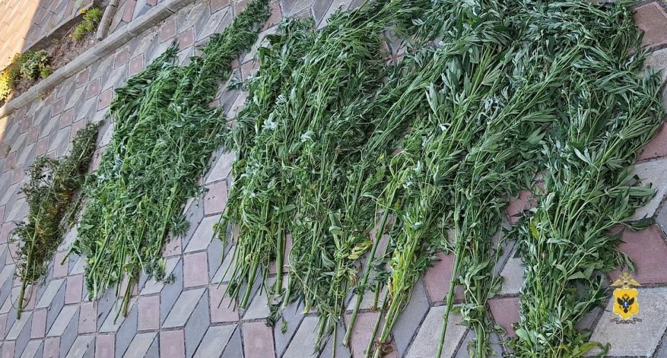 � ���������� ������� ����������� ������ ����� 3 ���������� ������������� ��������� � �������� ������