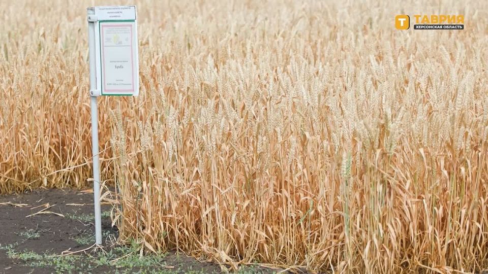 ������������� �������� ������� �� ���������� � � ��������� "������� � ����������"