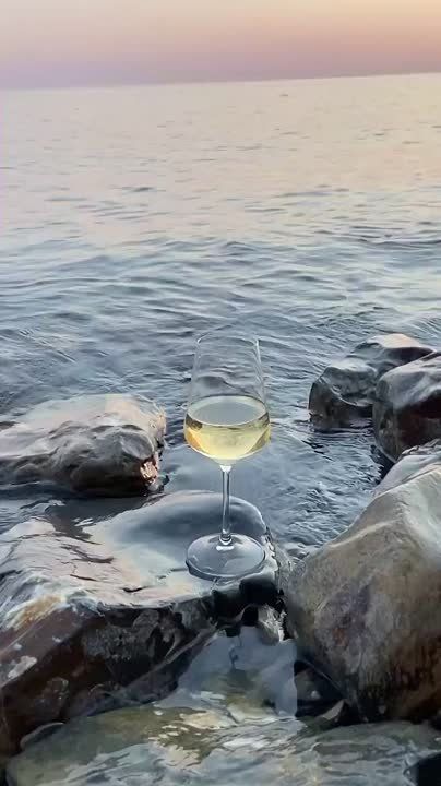 ����� ������������ ���������