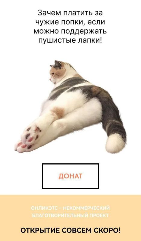 OnlyFans ��� ����� � ����� �������� � ������