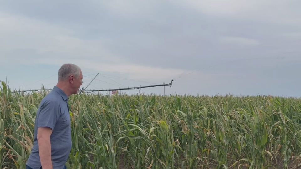 �������� ������: ��� �������� ����� ��� ����� �����