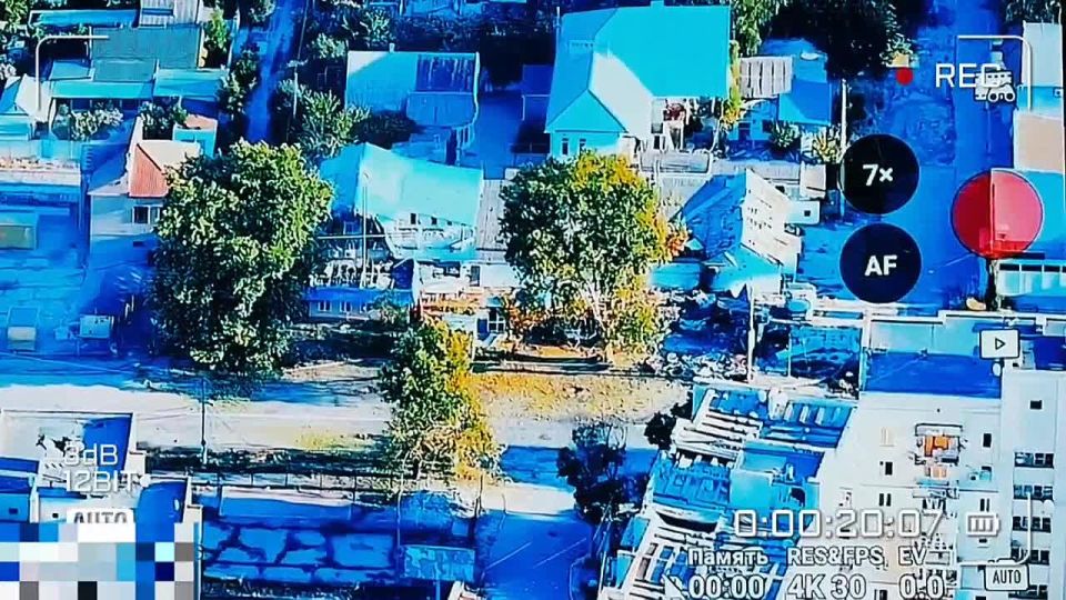 ������. ������� ����